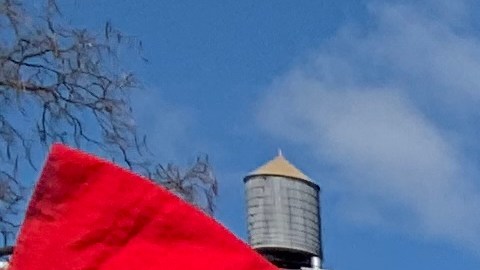 Exigen mejorar acceso de inmigrantes de Nueva York a programas de vivienda