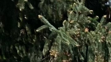 Deliveristas temen que medida afecte tener acceso a su herramienta de trabajo.