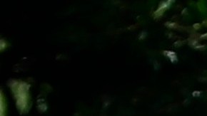 Sepultan a migrante salvadoreña asesinada por policías en México.