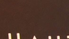 Alexa Dellanos cubrió sus senos con unos 'conejitos de pascua'.