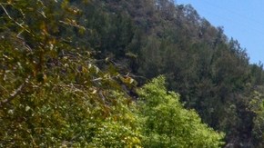 Arman a menores en Guerrero.