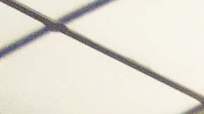 Desde este viernes los neoyorquinos se pueden vacunar debajo de la ballena del Museo de Historia Natural, a la cual le pusieron un vendaje.