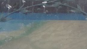 La medida fue impuesta por el Gobernador para obligar a los clientes a estar sentados y así evitar las aglomeraciones fuera de los bares.