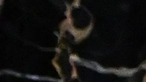 El presidente Biden durante su discurso ante el Congreso y el pueblo de EE.UU.