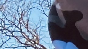 Rodrigo Camarena se lanzó para un puesto al Concejo municipal por el Distrito 38.