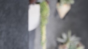 El también actor de 52 años lució en Guardianes de la Galaxia.