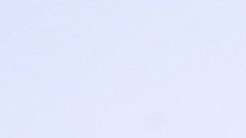 La Dra. Ana María Polo celebra 20 años de trayectoria profesional.