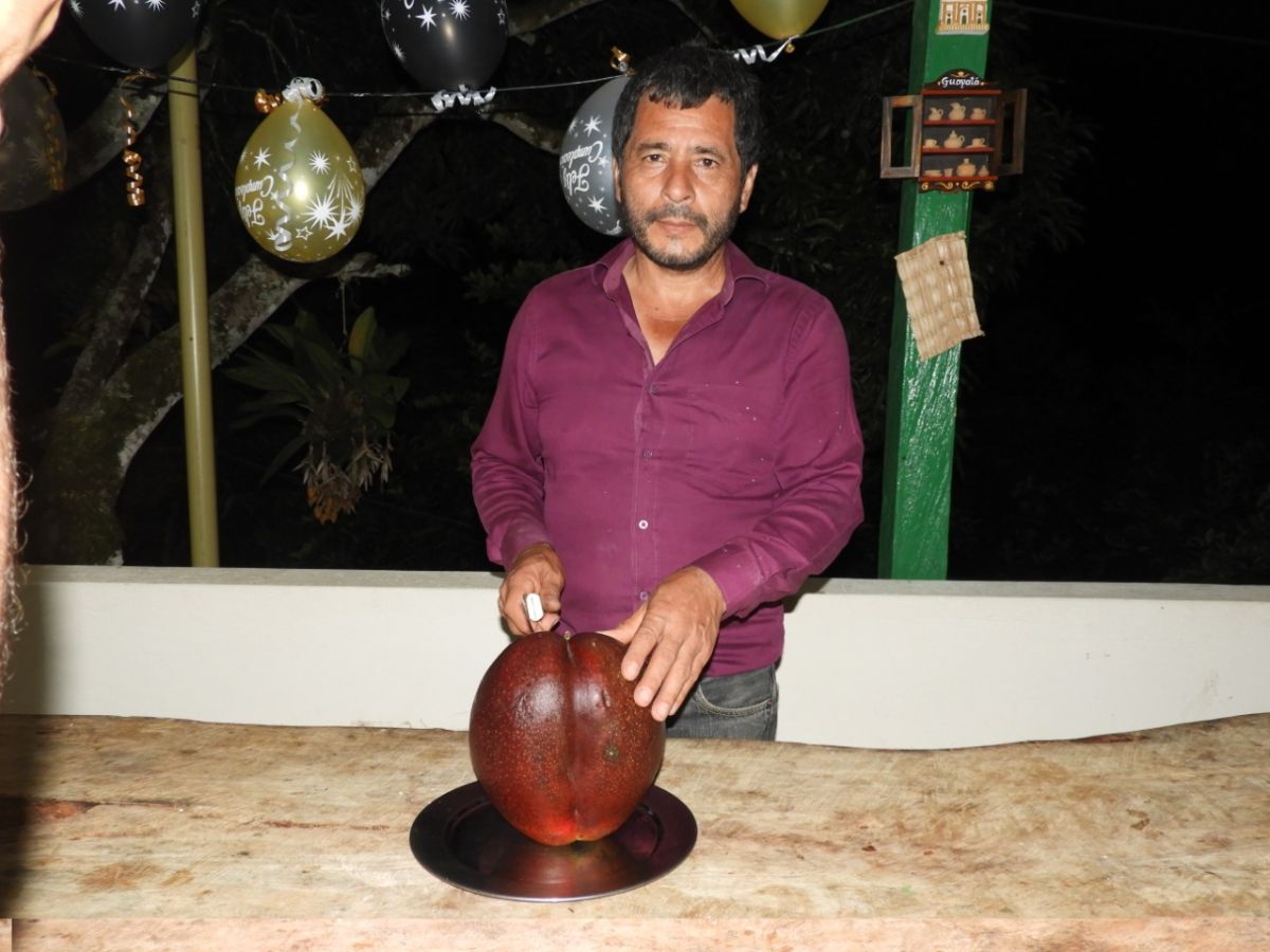 El mango más pesado del mundo_Guinness World Records_3