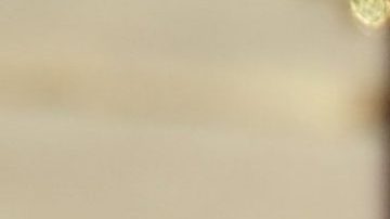 El príncipe Harry, el primo de ambos Peter Phillips y el príncipe William en el funeral del duque de Edimburgo, Felipe.