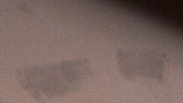 Enrique Guzmán corre furioso a la prensa de su casa.