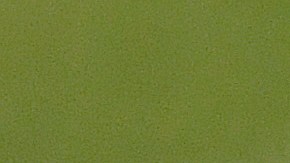 Fernando Tatis Jr fue el Jugador de la Semana en la Liga Nacional