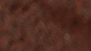 Tatis Jr. sacó el primero del año