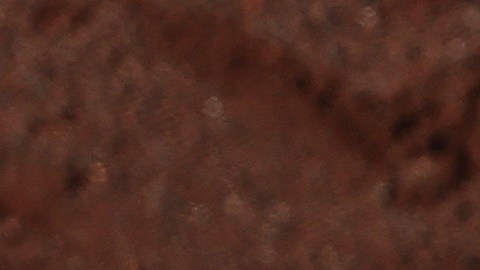 Tatis Jr. sacó el primero del año