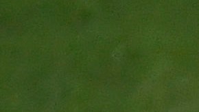 Lesión de Tatis Jr.