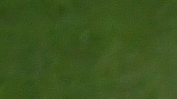 Lesión de Tatis Jr.