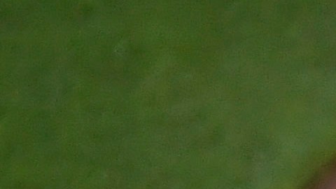 Lesión de Tatis Jr.