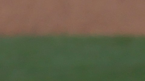 La habilidad de Fernando Tatis Jr.