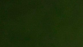 Ya se conoce el regreso de Fernando Tatis Jr