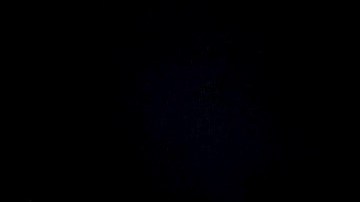 Mayweather quiere pelear contra el Youtuber Jake Paul