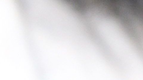 Seis estados estarían tomando medidas para evitar que te embarguen tu cheque de estímulo-GettyImages-1144036654.jpeg