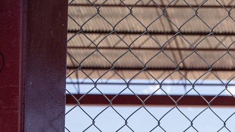 Miles de niños centroamericanos son enviados solos a los EE.UU.