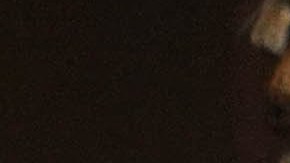 Gobernador Pedro Pierluisi