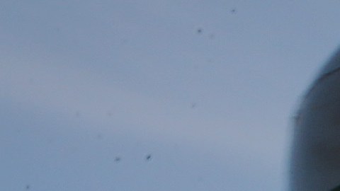 Portaaviones