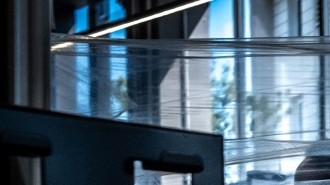 Millones de trabajadores esenciales son no-ciudadanos.