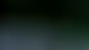 Asesinato Vanessa Guillen