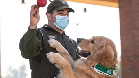 Coronavirus Chile