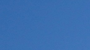 Roy Cooper North Carolina