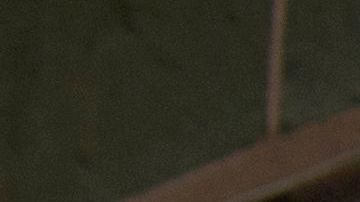 Administracion Seguro Social