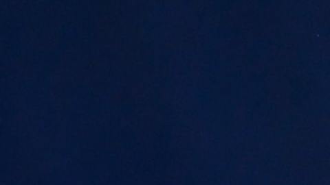Dybala y McKennie fueron multados por estar en una fiesta violando las medidas de bioseguridad