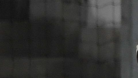 El PSG buscará vender jugadores para reducir costos de plantilla