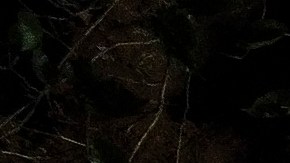 Entierros coronavirus Brasil