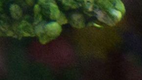 Costco, Target y Sam’s Club permanecerán cerrados durante la fiesta de Pascua-GettyImages-1232072985.jpeg