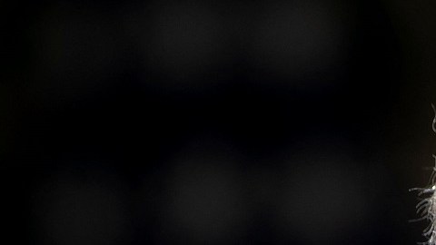 El presidente Biden suma respaldo a su plan de infraestructura.