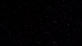 Muerte Daunte Wright en Minnesota