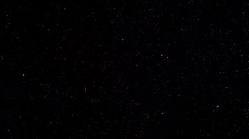 Muerte Daunte Wright en Minnesota