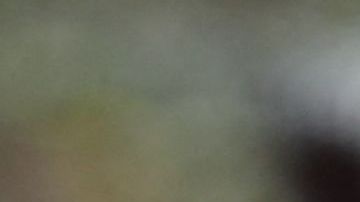 William y Harry, príncipes del Reino Unido, hijos de la princesa 0.