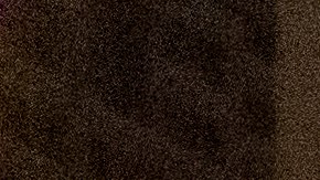 Makiyah Bryant Columbus Policia