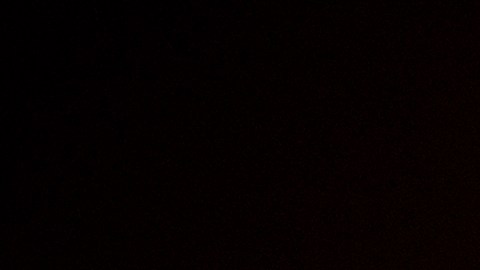 SpaceX a puesto en el espacio a 10 astronautas en menos de un año-GettyImages-1232473640.jpeg