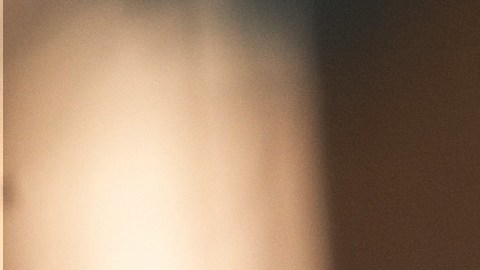 El IRS asegura que cumplirá con el inicio de pagos del crédito fiscal por hijo a partir de julio