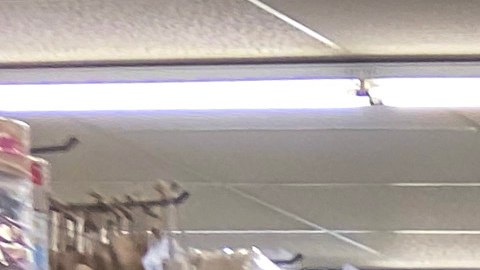 Tiendas Dollar Treee
