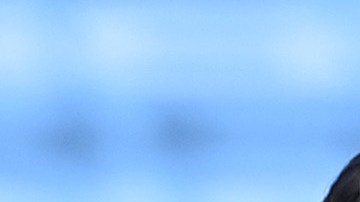 Manchester City vs Leeds United.