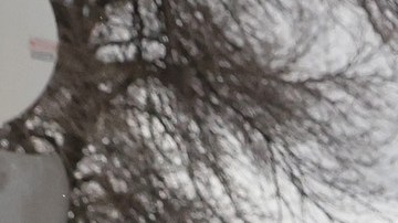 Protestas Minnesota Daunte Wright