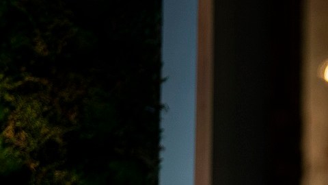 El presidente Biden anunció sus planes en el encuentro con líderes mundiales.