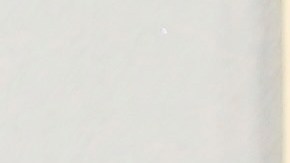 Phillip Bladh, Carlos Cortes, Michellee Couttolenc y Jaime Baksht.