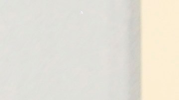 Phillip Bladh, Carlos Cortes, Michellee Couttolenc y Jaime Baksht.