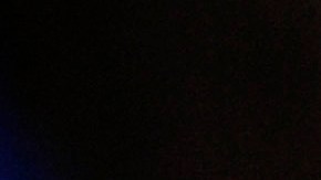 Una mujer de Milwaukee perdió a su perro y lo encuentra de venta en Facebook-GettyImages-154833118.jpeg